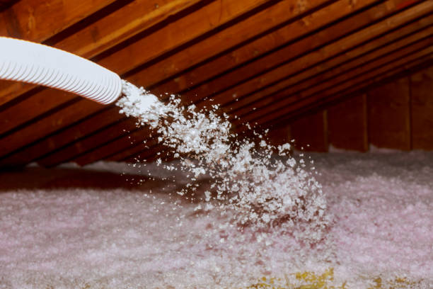 Best Specialized Insulation Services in Centreville, VA