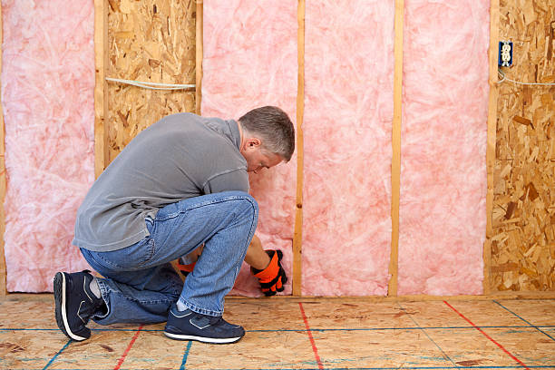 Types of Insulation We Offer in Centreville, VA
