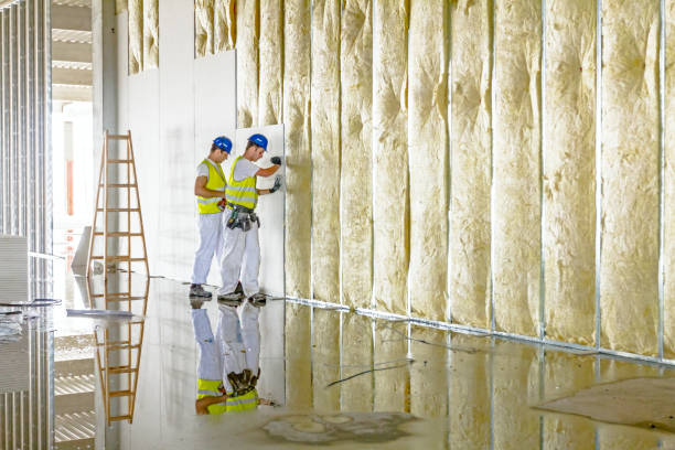 Best Spray Foam Insulation in Centreville, VA
